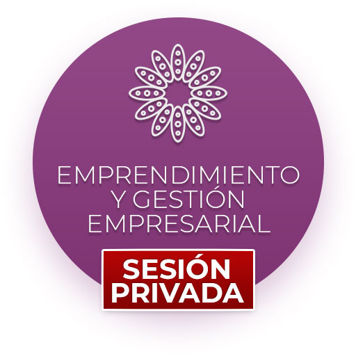 Sesión privada Emprendimiento y Gestión empresarial (online o presencial)